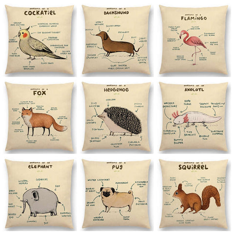 TBONTB Funny Animals Anatomy Flamingo Fox Dachshund Giraffe Hedgehog Lion Pug Squirrel Cushion Cover Sofa Throw Pillow Case - one46.com.au