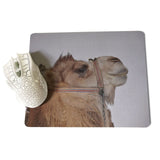 MaiYaCa Top Quality Camel by the lake Unique Desktop Pad Game Mousepad Size for 180x220x2mm and 250x290x2mm Rubber Mousemats - one46.com.au