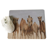 MaiYaCa Top Quality Camel by the lake Unique Desktop Pad Game Mousepad Size for 180x220x2mm and 250x290x2mm Rubber Mousemats - one46.com.au
