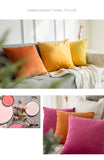 Decorative Velvet Throw Pillow Cover Soft Comfortable Pillow Cover Soild Square Cushion Case for Sofa Bedroom Car - one46.com.au