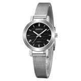Simple Ladies Gold Watch Women Famous Brand Minimalist Steel Mesh Simple Geneva Watch Women Role Quartz Watch @F - one46.com.au