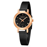 Simple Ladies Gold Watch Women Famous Brand Minimalist Steel Mesh Simple Geneva Watch Women Role Quartz Watch @F - one46.com.au