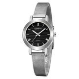 Simple Ladies Gold Watch Women Famous Brand Minimalist Steel Mesh Simple Geneva Watch Women Role Quartz Watch @F - one46.com.au