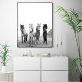 Canvas Painting Modern Wall Art Poster Iceland Wild Horses For Living Room Home Decor Artwork Picture - one46.com.au