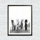 Canvas Painting Modern Wall Art Poster Iceland Wild Horses For Living Room Home Decor Artwork Picture - one46.com.au