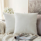 Decorative Velvet Throw Pillow Cover Soft Comfortable Pillow Cover Soild Square Cushion Case for Sofa Bedroom Car - one46.com.au