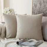 Decorative Velvet Throw Pillow Cover Soft Comfortable Pillow Cover Soild Square Cushion Case for Sofa Bedroom Car - one46.com.au