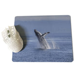 MaiYaCa Beautiful Anime Humpback Whales Large Mouse pad PC Computer mat Size for 18x22cm 25x29cm Small Mousepad - one46.com.au