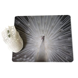 MaiYaCa White peacock staring into the distance Unique Desktop Pad Game Mousepad Size for 18x22x0.2cm Gaming Mousepads - one46.com.au