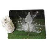 MaiYaCa White peacock staring into the distance Unique Desktop Pad Game Mousepad Size for 18x22x0.2cm Gaming Mousepads - one46.com.au