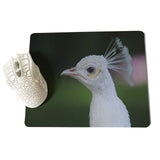 MaiYaCa White peacock staring into the distance Unique Desktop Pad Game Mousepad Size for 18x22x0.2cm Gaming Mousepads - one46.com.au