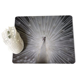 MaiYaCa White peacock staring into the distance Unique Desktop Pad Game Mousepad Size for 18x22x0.2cm Gaming Mousepads - one46.com.au