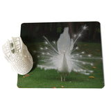 MaiYaCa White peacock staring into the distance Unique Desktop Pad Game Mousepad Size for 18x22x0.2cm Gaming Mousepads - one46.com.au