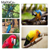 MaiYaCa Parrot Large Mouse pad PC Computer mat Size for 18x22x0.2cm Gaming Mousepads - one46.com.au