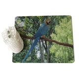 MaiYaCa Parrot Large Mouse pad PC Computer mat Size for 18x22x0.2cm Gaming Mousepads - one46.com.au