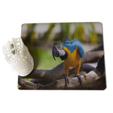 MaiYaCa Parrot Large Mouse pad PC Computer mat Size for 18x22x0.2cm Gaming Mousepads - one46.com.au