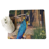 MaiYaCa Parrot Large Mouse pad PC Computer mat Size for 18x22x0.2cm Gaming Mousepads - one46.com.au