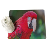 MaiYaCa Parrot Large Mouse pad PC Computer mat Size for 18x22x0.2cm Gaming Mousepads - one46.com.au