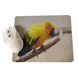 MaiYaCa Parrot Large Mouse pad PC Computer mat Size for 18x22x0.2cm Gaming Mousepads - one46.com.au