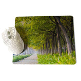 MaiYaCa  Tree Lined Trail Laptop Gaming Mice Mousepad Size for 18x22x0.2cm Gaming Mousepads - one46.com.au
