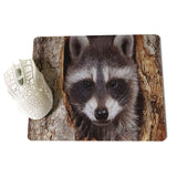 MaiYaCa Personalized Fashion Raccoon Anti-Slip Durable Silicone Computermats Size for 180x220x2mm and 250x290x2mm Small Mousepad - one46.com.au
